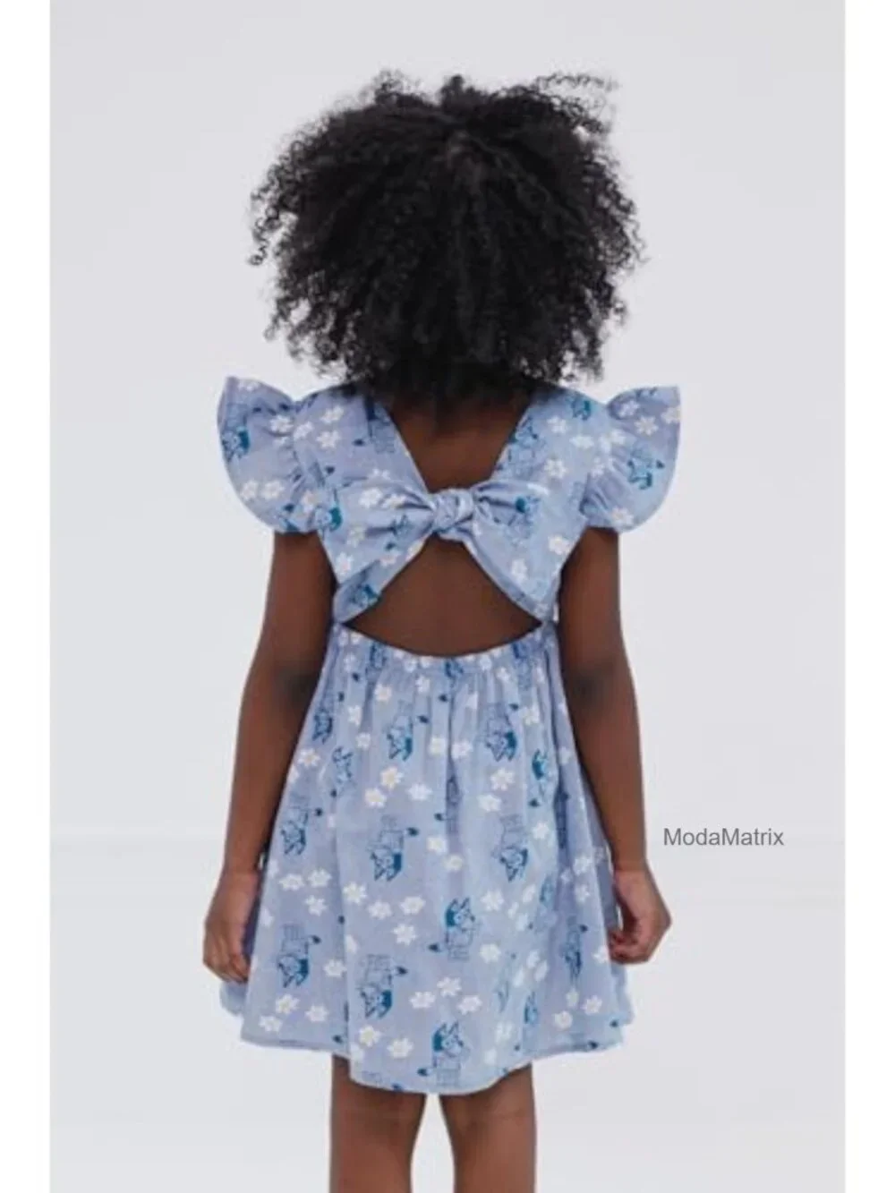 Bluey Floral Chambray Skater Dress, Short Sleeve, Pull-On, Kids